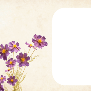 photo pour gâteau Bonne fête