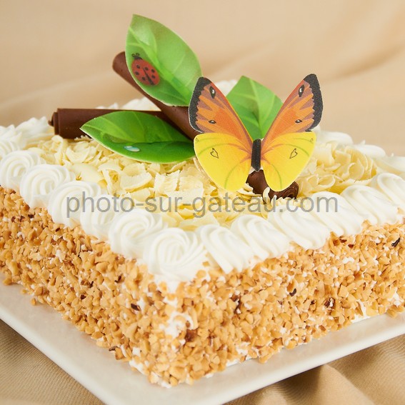 Set en azyme comestible pour décorer gâteaux marguerites et papillons Dekora 