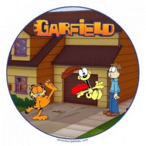 photo pour gâteau garfield