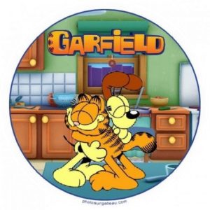 photo pour gâteau garfield