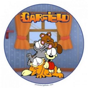 photo pour gâteau garfield